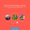 Gravity Forms Image Choices WordPress Plugin